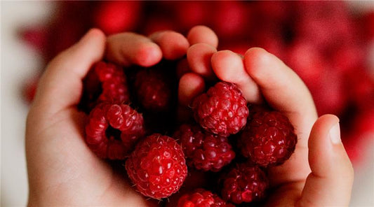 Eating Habits and Dietary Interventions in ADHD - Oh!My Snacks