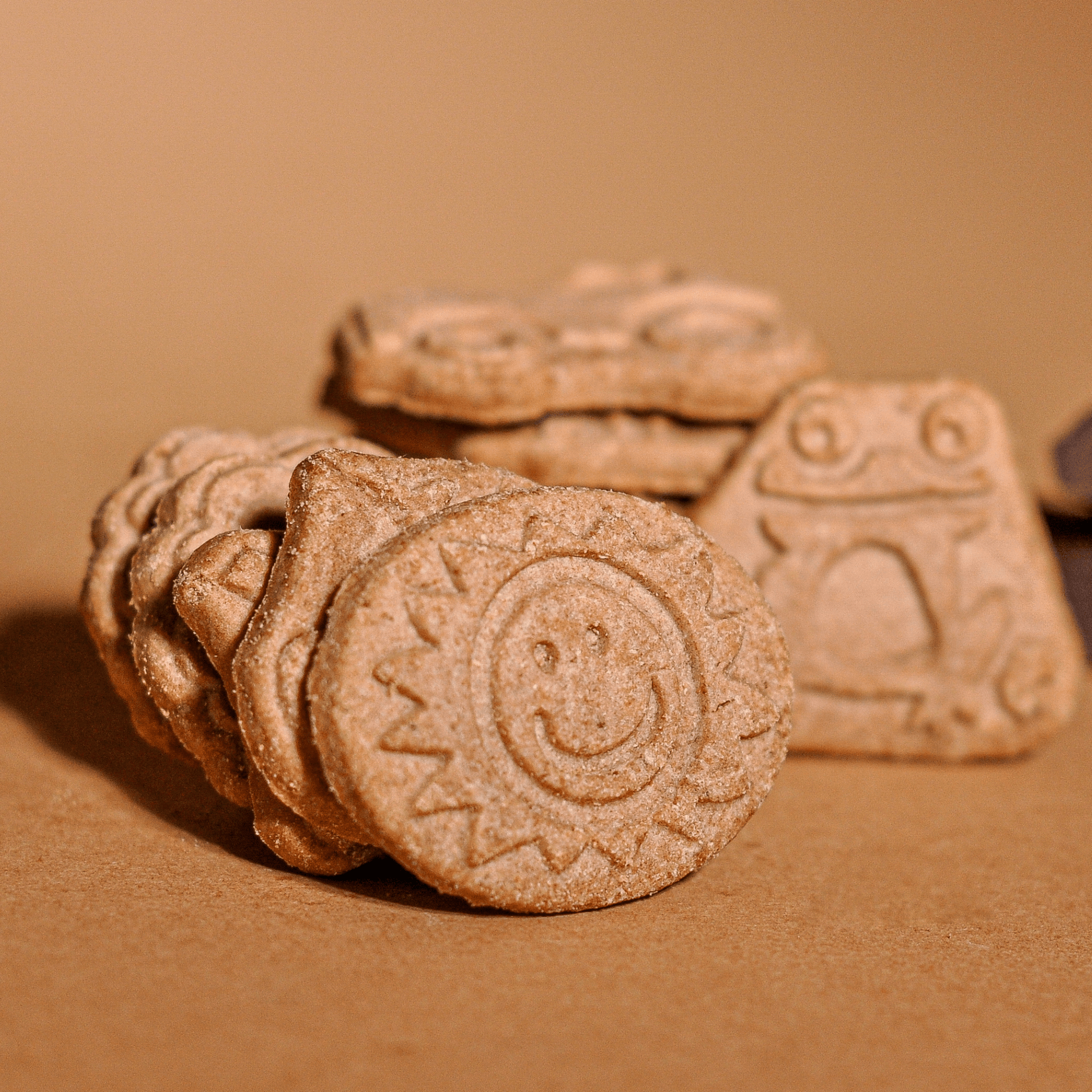 Cocoa Biscuits for Kids - Oh!My Snacks