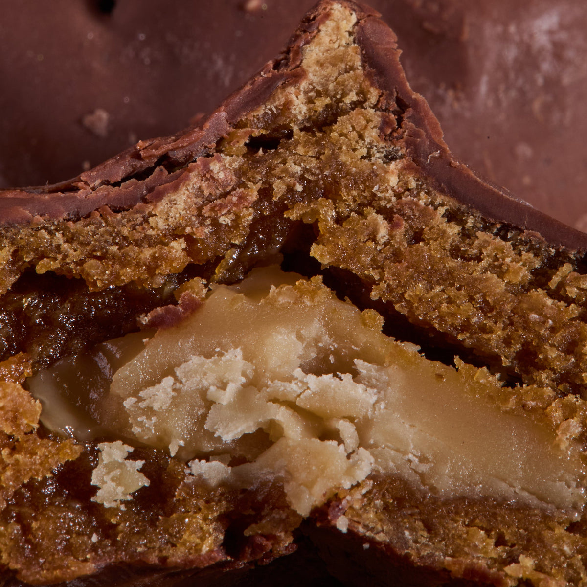 Close-up of Cocoa Coated Protein Balls Peanut Cream