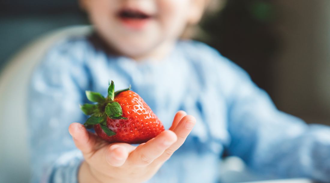 Child Nutrition and Neurodevelopment