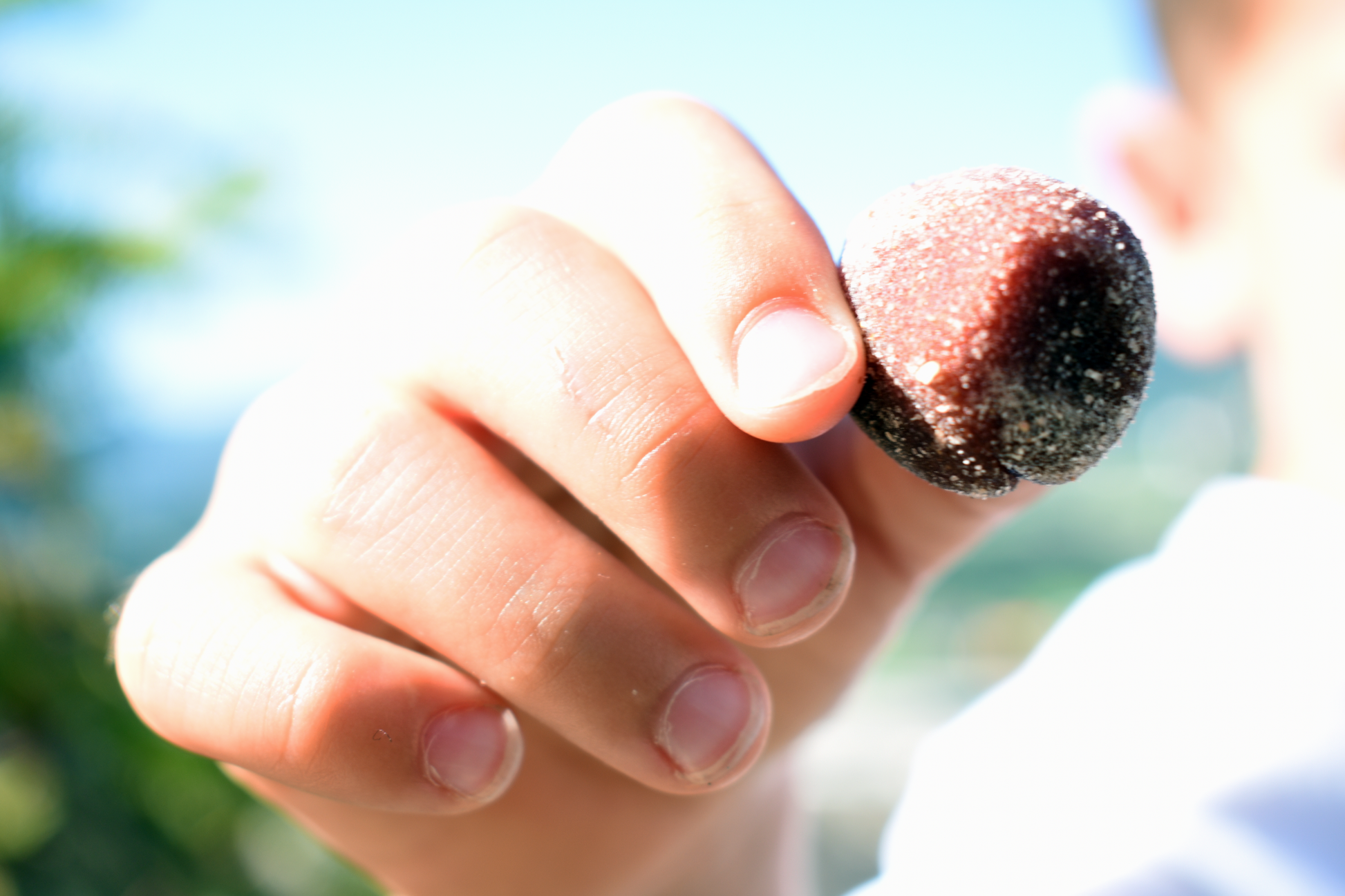 kids consuming fruit balls