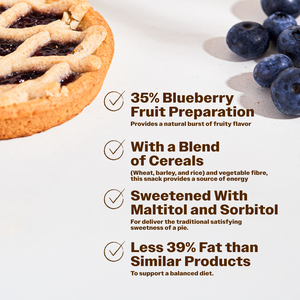 No Sugar Pie Blueberry