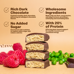 Pea Protein Bar  With Raspberry