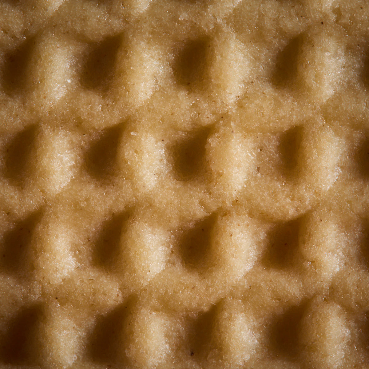 Close-up of Butter Cookies