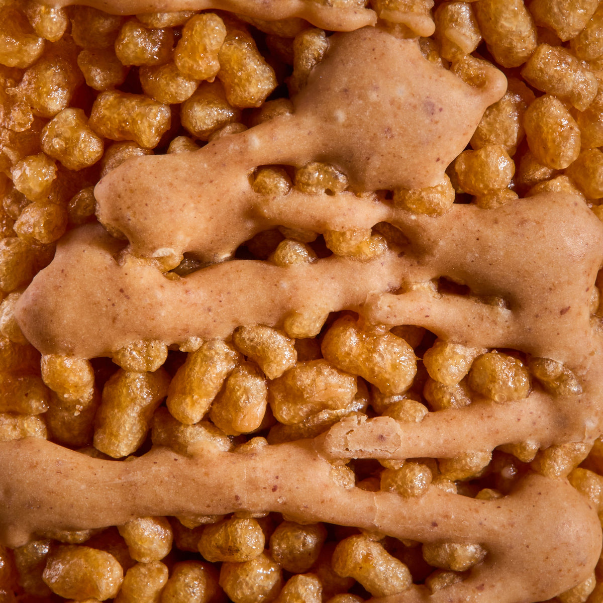 Close-up of Cereal Bar Peanut
