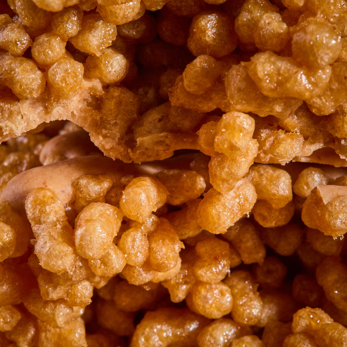 The inside of Cereal Bar Peanut