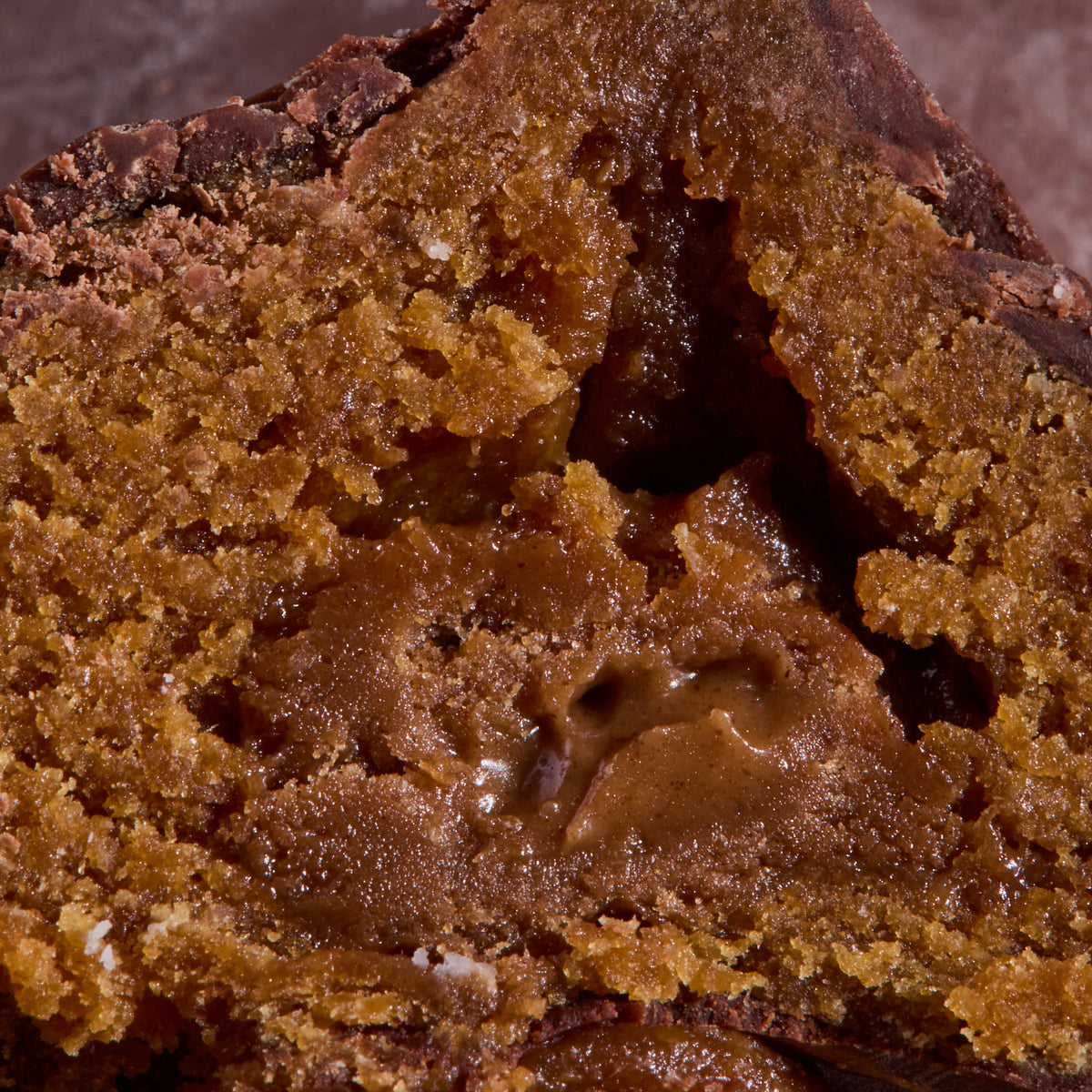 Close-up of Cocoa Coated Protein Balls Cinnamon Cream