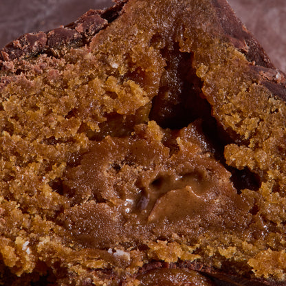 Close-up of Cocoa Coated Protein Balls Cinnamon Cream