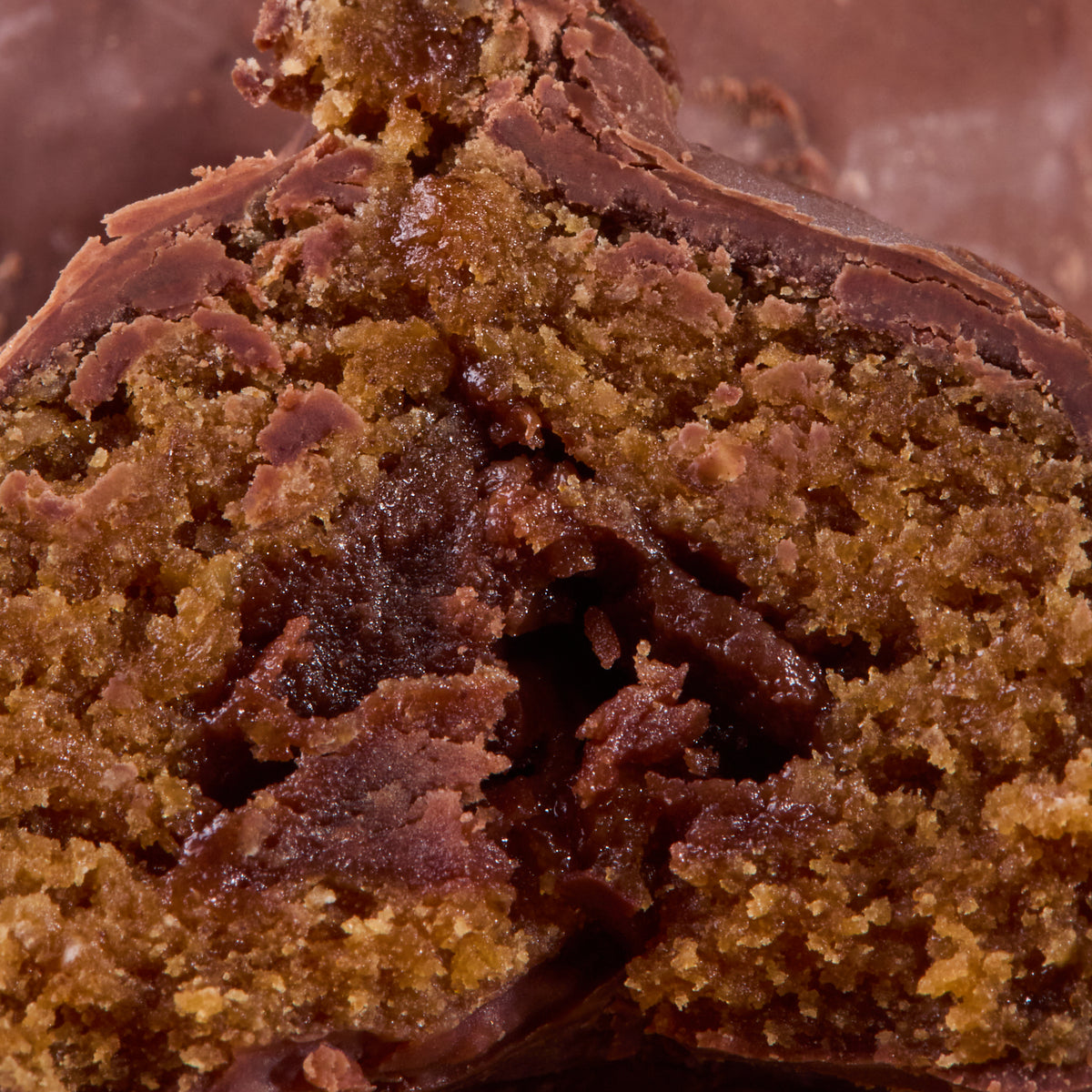 Close-up of Cocoa Coated Protein Balls Cocoa Cream