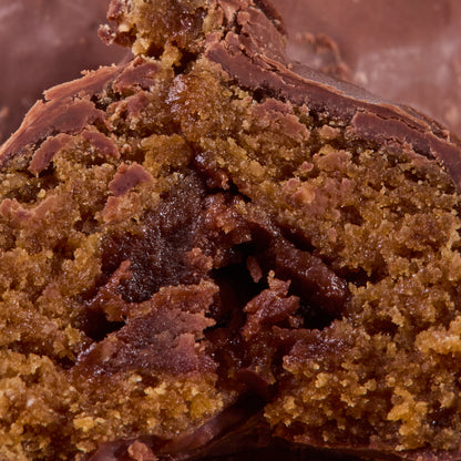 Close-up of Cocoa Coated Protein Balls Cocoa Cream