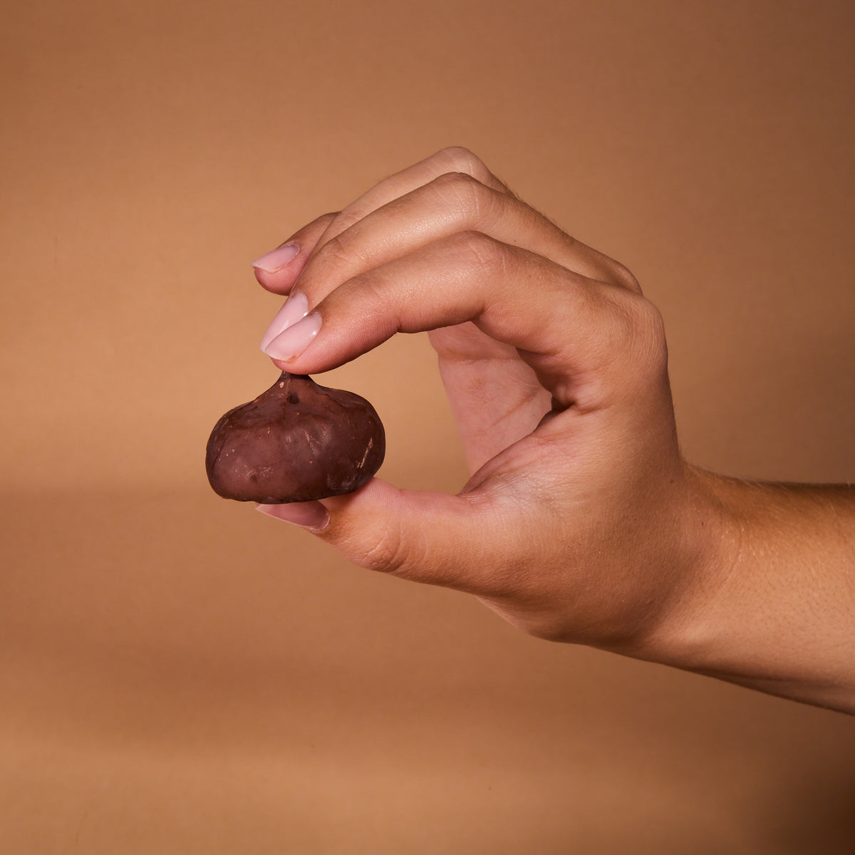 A hand holding Cocoa Coated Protein Balls Cocoa Cream