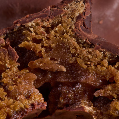 Close-up of Cocoa Coated Protein Balls Hazelnut Cream
