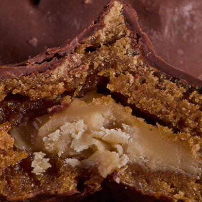Close-up of Cocoa Coated Protein Balls Peanut Cream