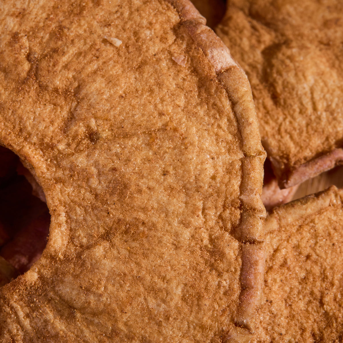 Close-up of Dried Apple Cinnamon