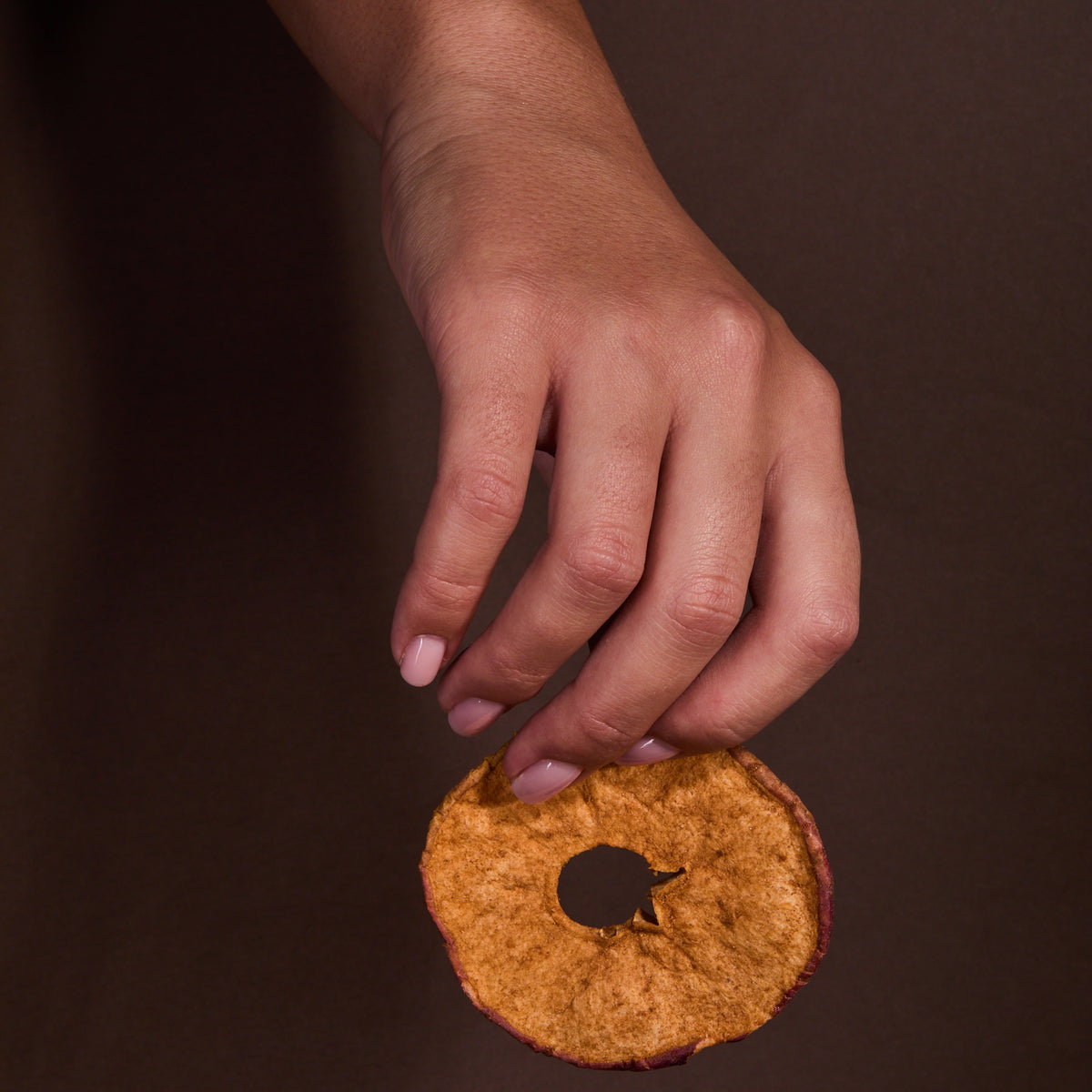 A hand holding Dried Apple Cinnamon