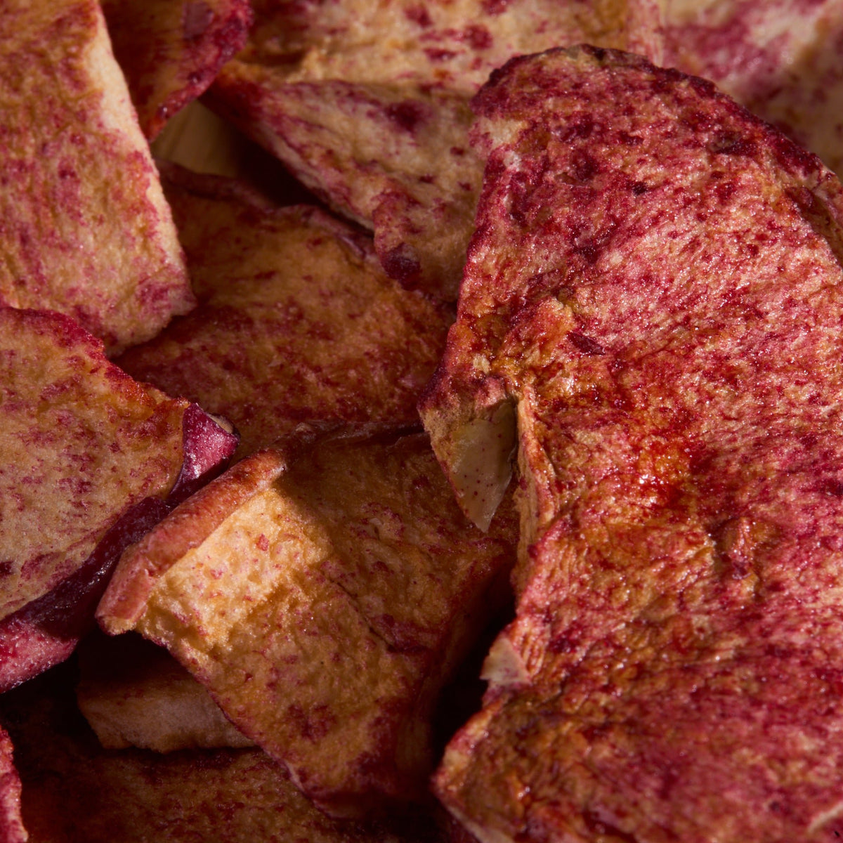 Close-up of Dried Apple Forest Fruit