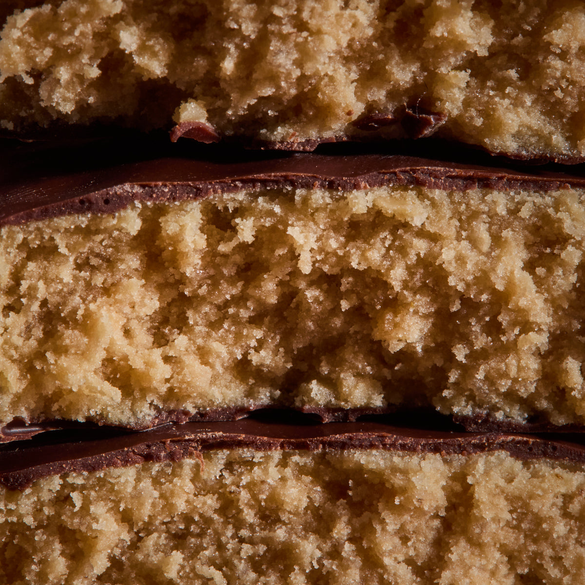 Close-up of Pea Protein Bar Coconut
