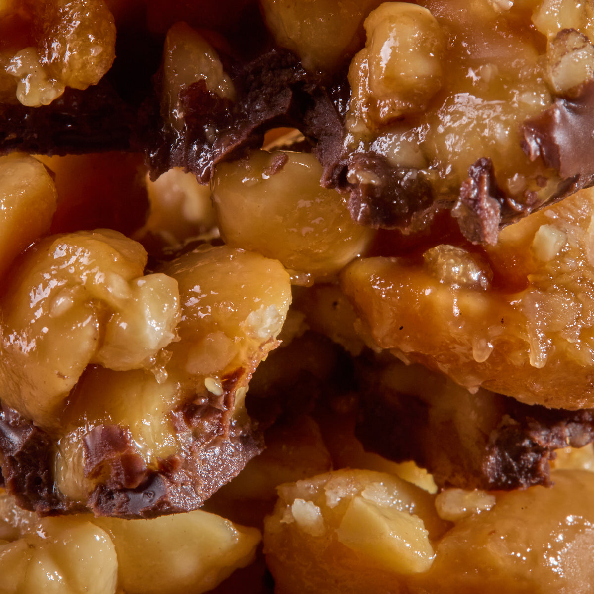 Close-up of Protein Nuts Caramel Salt Peanuts