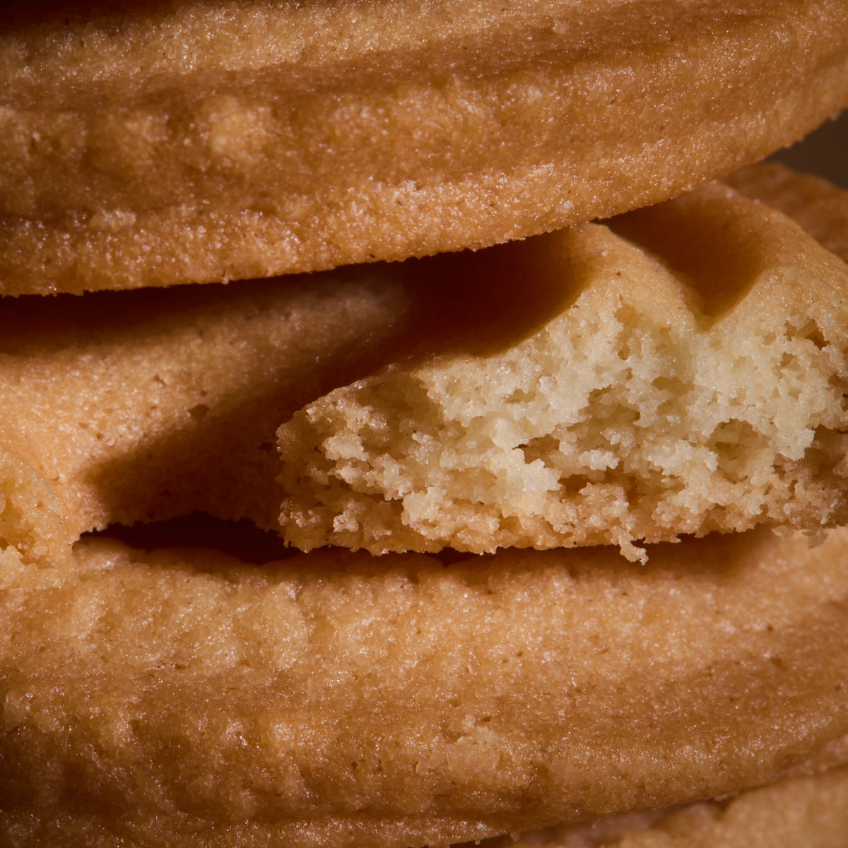 Close-up of Vanilla Cookies